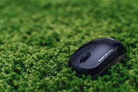 Image result for computer mouse