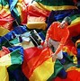 Image result for Bendera Pelangi LGBT