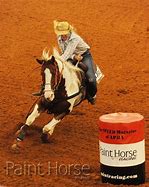 Image result for Paint Barrel Racing Horse Equine Now