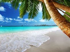 Image result for beaches screensaver 4k