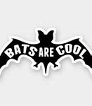 Image result for Cool Baseball Bat Design