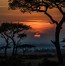 Image result for Masai Mara National Park Sunset Kenya