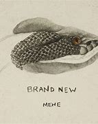 Image result for Brand New Mene