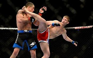 Image result for Types of MMA Fighting