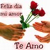 Image result for Amor Vida Feliz