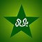 Image result for Pak Cricket Logo