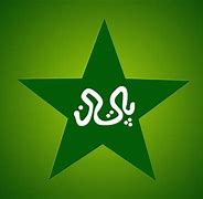 Image result for Pak Cricket Pics