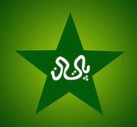 Image result for Pak Cricket