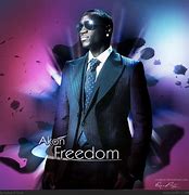 Image result for Akon Freedom
