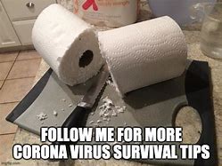 Image result for We Will Survive Meme