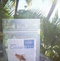 Image result for Cheesy Crickets