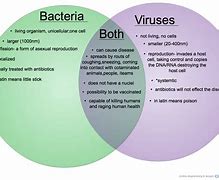 Image result for What Is the Difference Between a Germ and a Plague