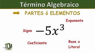 Image result for algebrauco