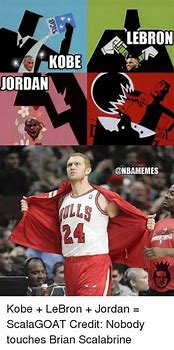 Image result for Brian Scalabrine LeBron