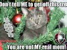 Image result for iPhone 10 X Christmas Present Meme