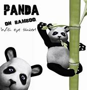 Image result for Aetshetic China Panda with Bamboo