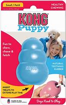 Image result for Kong Puppy Toy