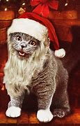 Image result for Christmas LOL Cats