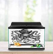 Image result for Octopus Ready Fish Tank