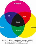 Image result for Cyan Magenta Color Combination