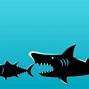 Image result for Food Chain Web's