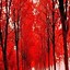 Image result for Pretty Red Things