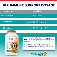 Image result for IP 6 for Dogs