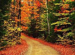 Image result for Computer Wallpaper Fall Scenes