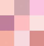 Image result for iPhone 5C Colornames