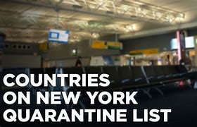 Image result for New York Quarantine Form Airline
