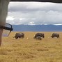 Image result for Ngorongoro Crater Safari