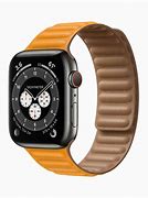 Image result for Apple Watch Security