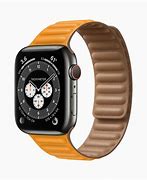 Image result for Apple Watch Colors
