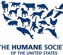 Image result for American Society PNG