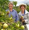 Image result for Washington State Apple Orchards