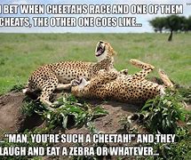 Image result for Funny Cheetah Memes