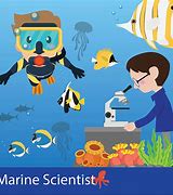 Image result for Marine Science Clip Art