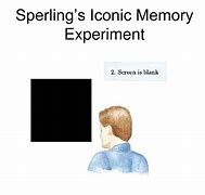 Image result for Iconic Memory