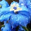 Image result for Blue Flowers Phone Wallpaper