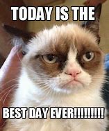 Image result for This Is the Best Day Ever Meme