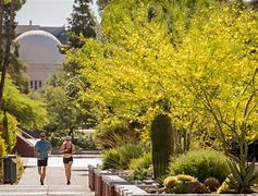 Image result for University of Arizona Alumni
