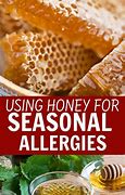 Image result for Honey Allergy
