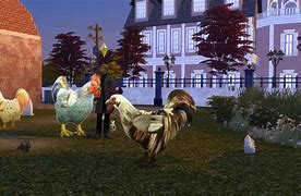 Image result for Chicken Feet Sims 4