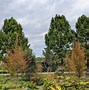 Image result for Early Fall Pics