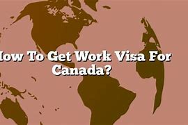 Image result for Work Visa Look Like