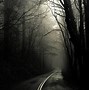 Image result for Dark Wood Forest Trees