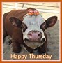 Image result for Happy Thursday Baby Animals