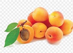 Image result for Dried Apricots Clip Art