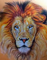 Image result for Lion Head Art