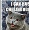 Image result for Here Kitty You Can Have Cheeseburger